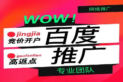 百度推广代运营服务案例分享